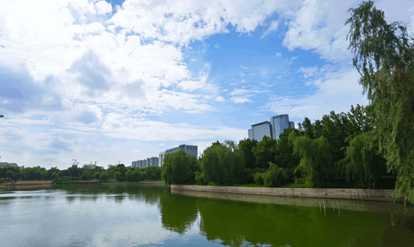 7月12日,石家庄水上公园一景.