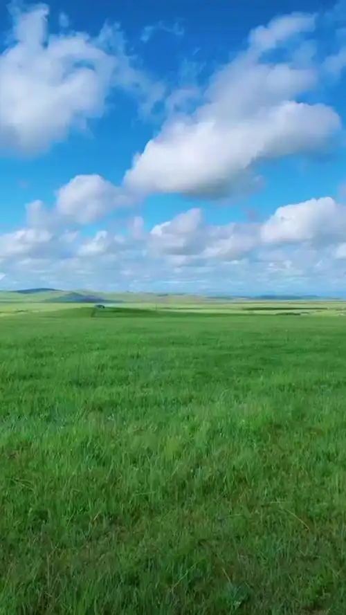 蓝蓝的天,洁白的云,绿色的大草原,都是我喜欢和想要看的风景,心里想的