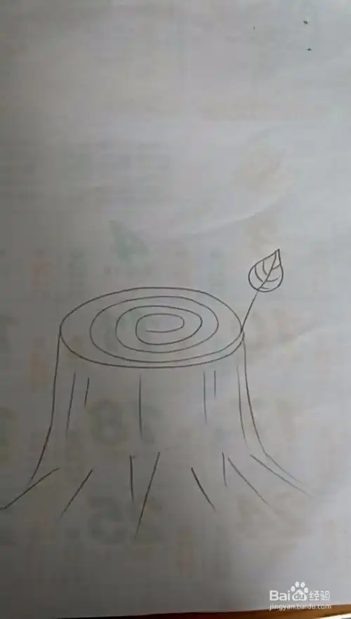 树皮的样子简笔画