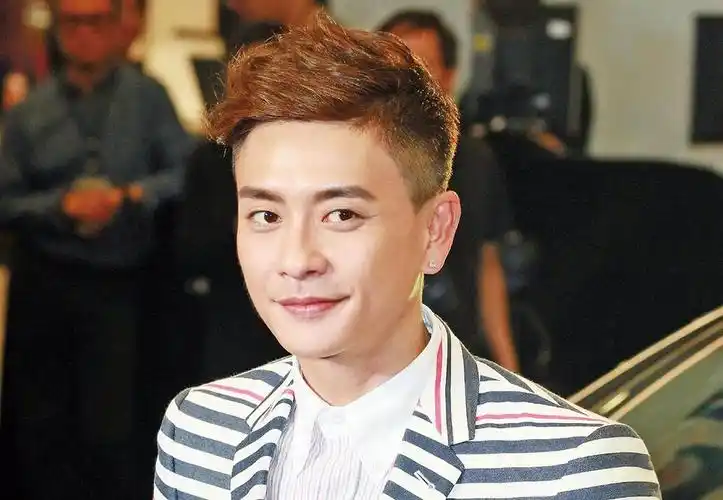 黄宗泽:种菜都唔识