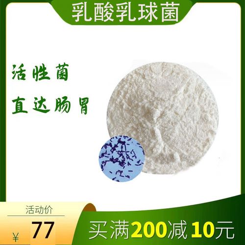 乳酸乳球菌jyll-60益生菌冻干粉100亿cfu/克食品级包埋益生菌原料