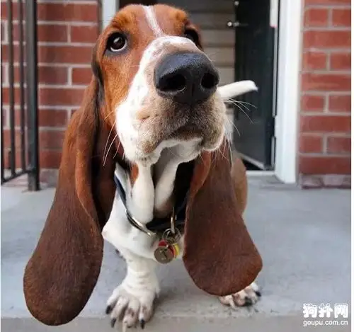 体彩手机购彩客户端官网下载