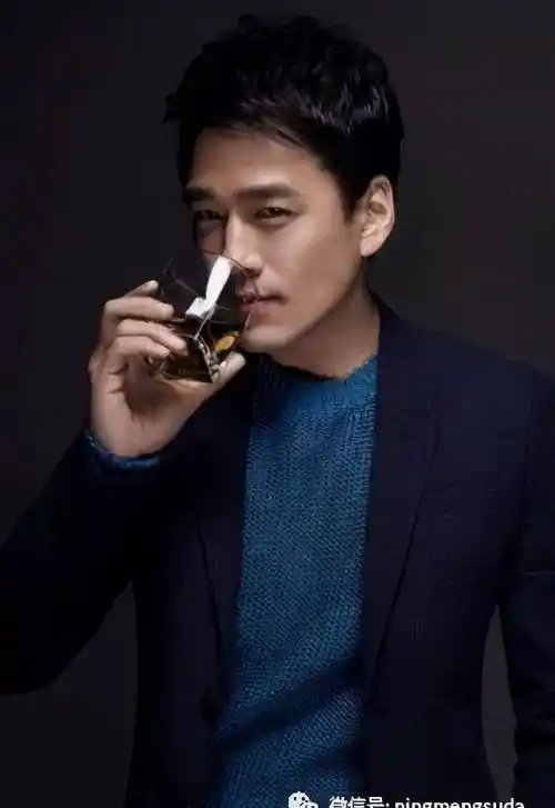 他出演的《王子变青蛙》风靡万千少女,将霸道总裁的帅气多金演绎的淋