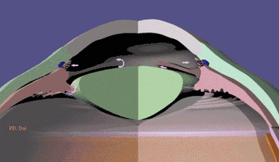 67青光眼通常是因为眼球内房水循环障碍造成眼球内的压力升高所致.