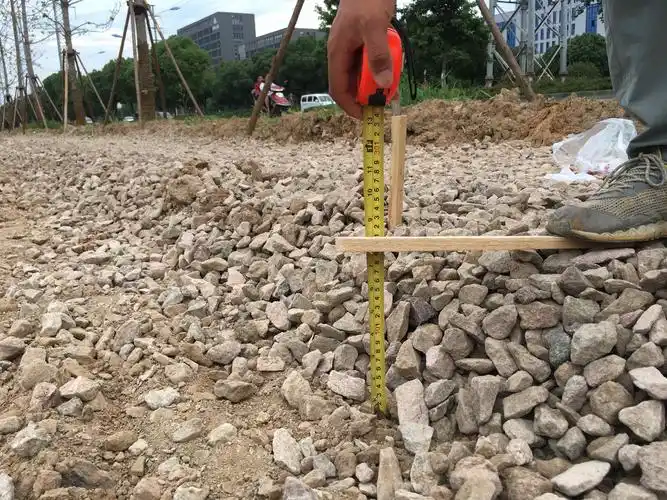 四海大道北侧绿化提升改造的美篇