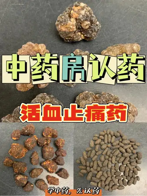 学中药先认药乳香没药五灵脂