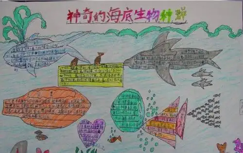 海豚手抄报海怎么画