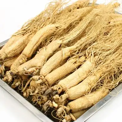 崹蔸海8年长白山野生乪山人参25支东北匹椮矷生人参