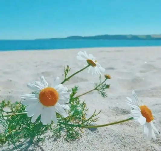 一句话经典心情语录配图,句句精辟走心!