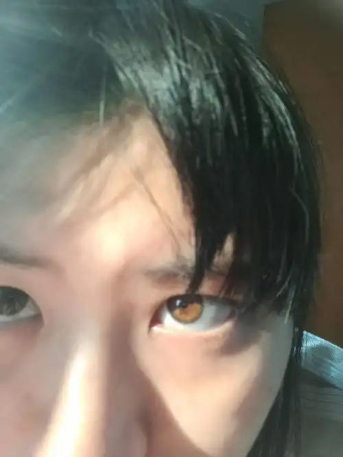 琥珀色眼睛 - 知乎