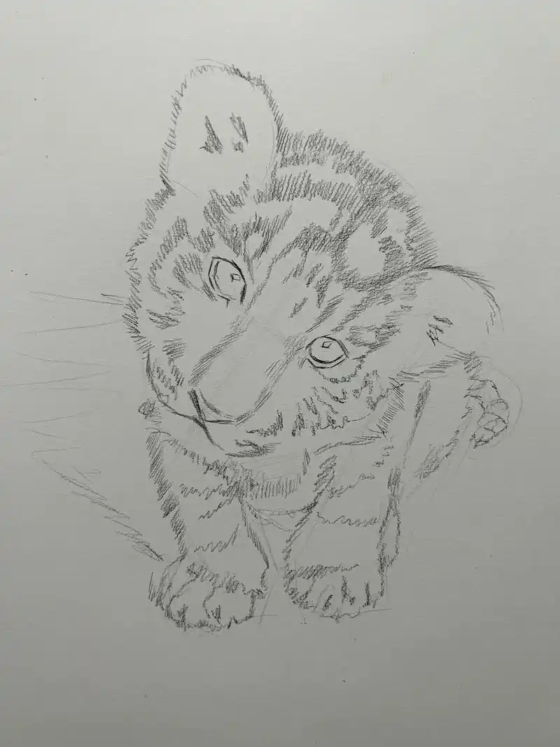 画只小老虎 素描动物.果然幼崽就是很可爱 ,喜欢的同学赶紧画 - 抖音