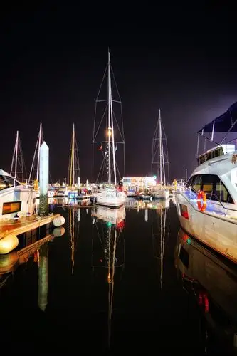 《东港码头夜太美》