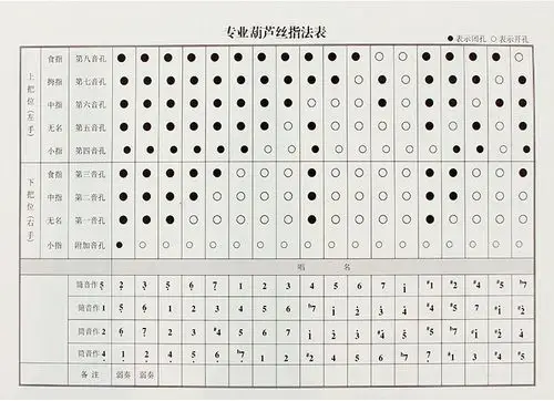 云南雀之灵乐器专卖 专业演奏型九孔金竹葫芦丝c调降b调a/d/g/f调.