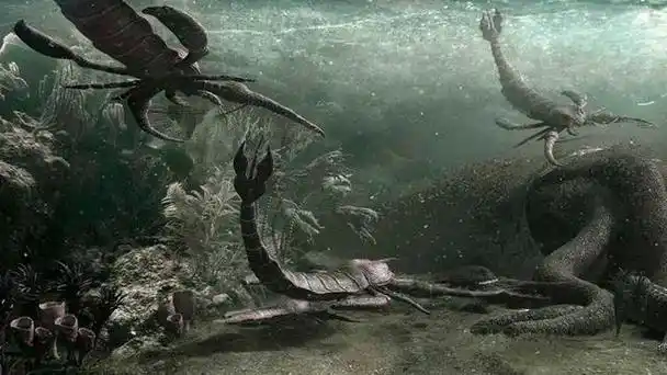 夜叉巡海:板足鲎的兴衰之路