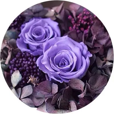 我是:紫色妖姬,妩媚的象征!你是哪种颜色的妖姬?