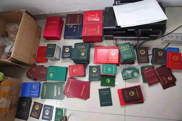 他们拥有清北文凭一桌子房产证却被警察端了