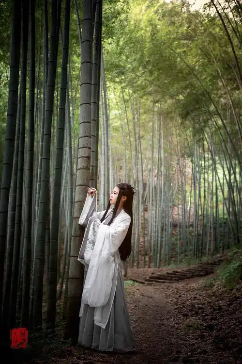 大家好这是柳扶风