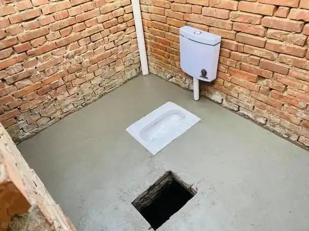 厕所革命——农村改厕的现状