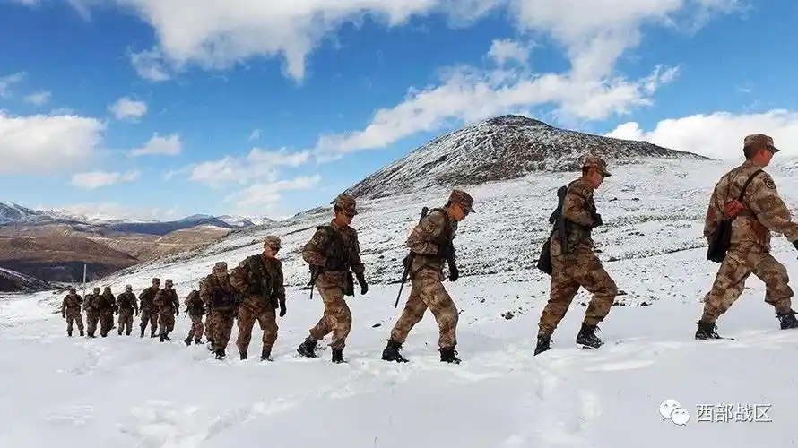 西部看剑 | 朗诵:雪地松|战士|高原|西藏_新浪军事_新浪网