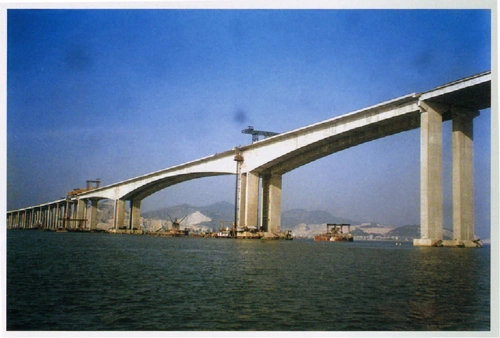 柔性排架桩墩,其主要特点是,可以通过措施将上部结构传来的水平力传递