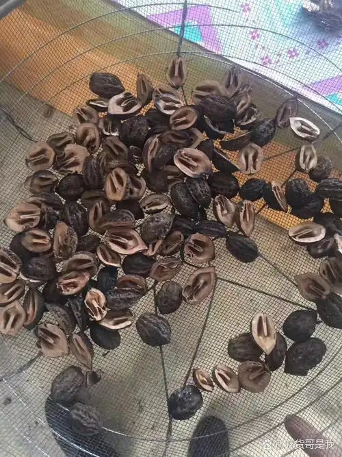 东北野生山核桃仁 烤东北野生山核桃仁的温度是160度,烤制的时间是10