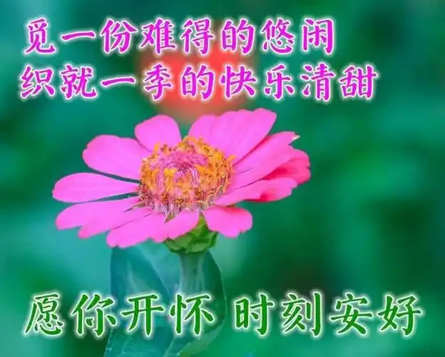 清晨早上好问候祝福语图片 春天暖心早晨好问候图片表情带字