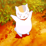 动态猫咪头像图片大全超萌可爱的动态猫咪头像