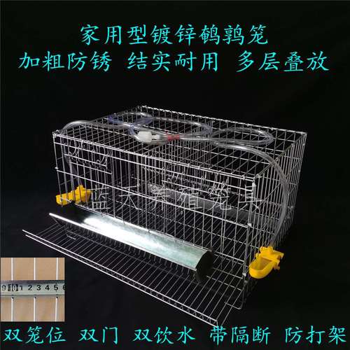 鹌鹑产蛋笼养殖笼鹌鹑笼自动滚蛋下蛋笼子芦丁鸡滚蛋笼养殖笼子