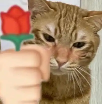 猫咪头拿玫瑰猫咪头拿玫瑰表情包