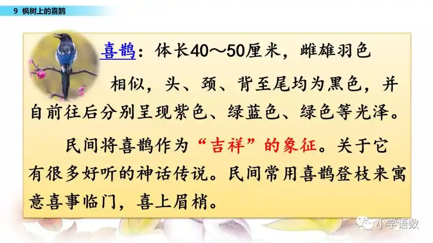 第9课 枫树上的喜鹊