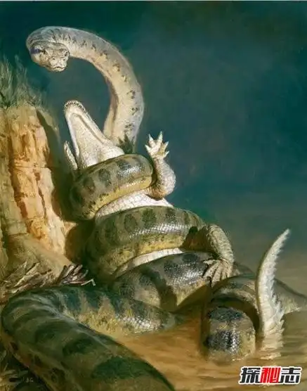 据研究,泰坦蟒可能总是在水边游弋,它们处在当时环境