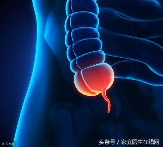 阑尾在左边还是右边阑尾有什么作用可以切