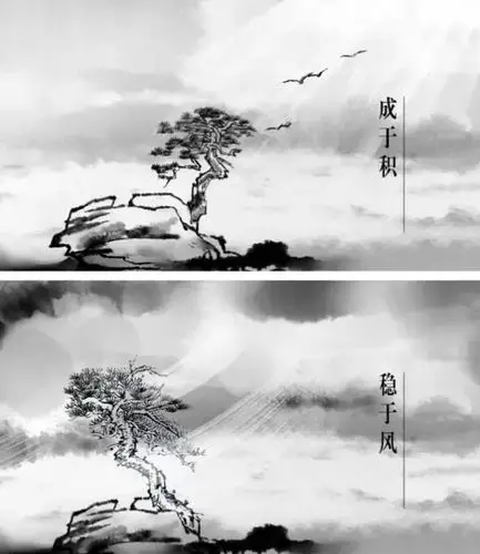 8t认为:木秀于林,何惧风雨摧!