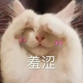 猫咪gif羞涩gif白毛gif捂脸gif