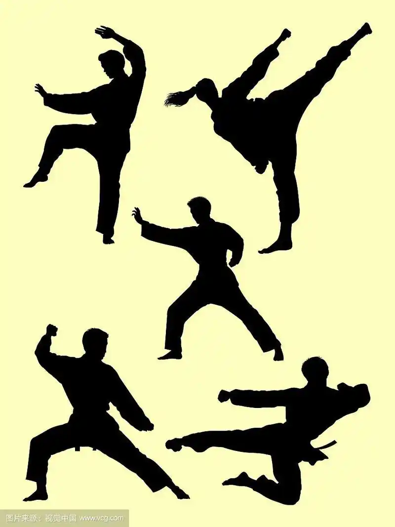 空手道武术手势剪影01