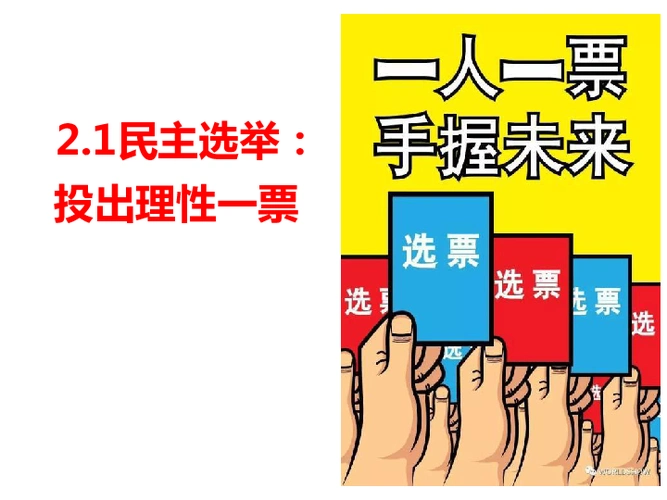 人教版高中政治必修二 2.1民主选举:投出理性的一票 课件(共29张ppt)_