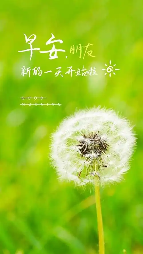 新的一周正能量早安图片语录,朋友圈励志早安文案句子