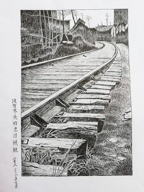 今年学画的钢笔画.