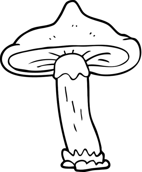 cartoon mushroom cartoon mushroom