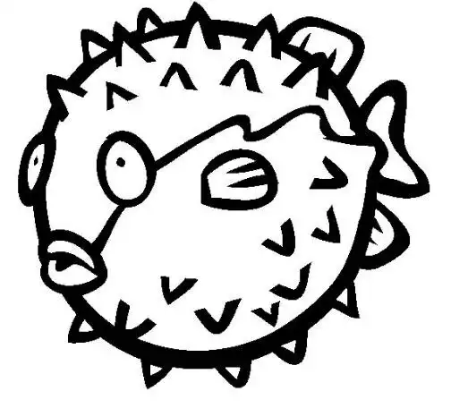 河豚动物简笔画海洋生物简笔画