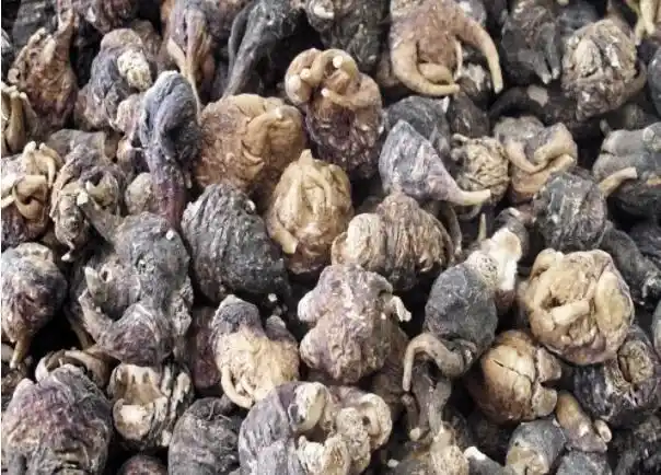 然而,通常情况下,当玛卡的根长到最大直径约5厘米时,受降雨量的限制