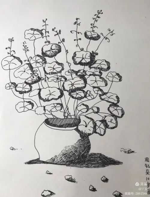 满天星绘画日记【周六】