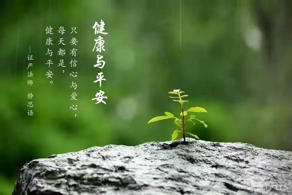 静思语健康与平安