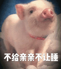 舌吻吗一只猪的表情包_抖音舌吻吗一只猪的表情包图片下载 - 环球手游