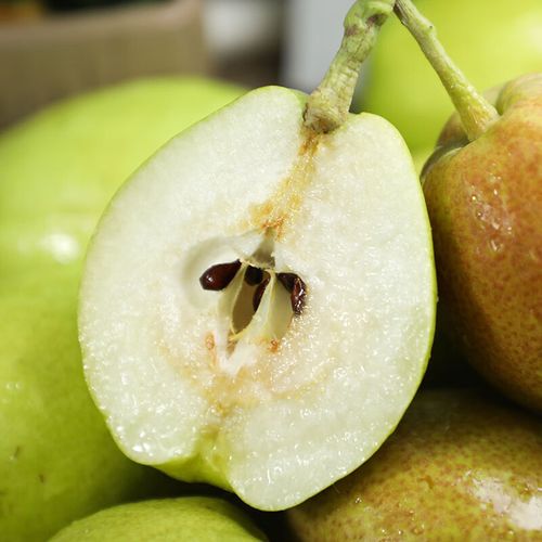 新疆特产香梨 库尔勒梨子脆甜多汁当季水果整箱 香梨二级5斤装