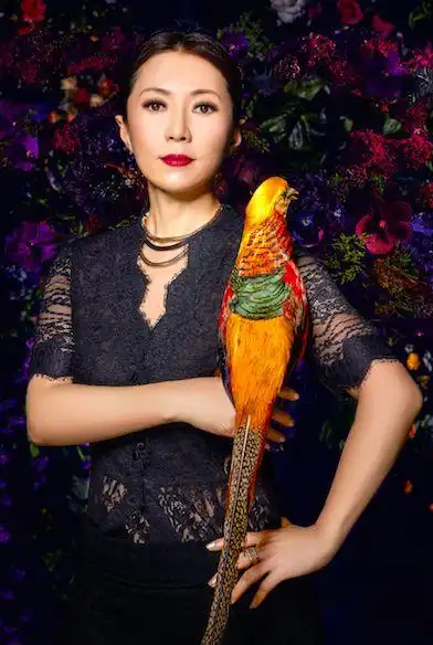 程琳:旅程让二胡穿越中西-环球旅游周刊-八卦帝