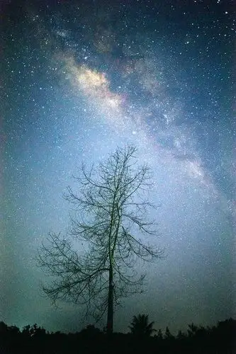 唯美意境图片:梦幻般的星空 (7)