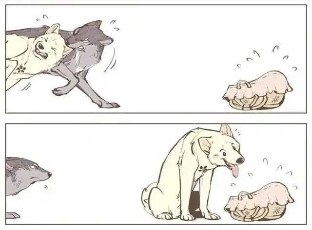 幼崽的威力有多强,狼都被萌成了狗