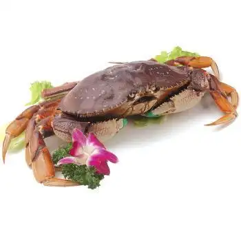 澳洲的冷冻太子蟹进口清关需要多久