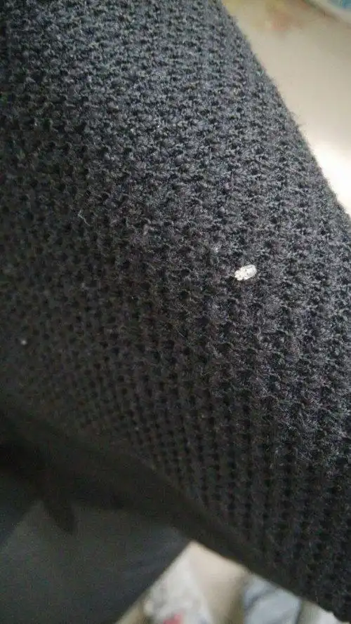 在晾衣服时～衣服上面好多白色翅膀,黑色身体的小虫子!